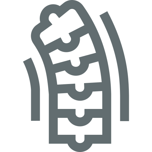 Physiotherapy in Adult Neurology